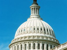 United_States_Capitol_dome_daylight.jpeg
