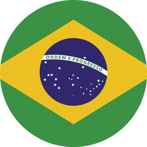 Brazil report